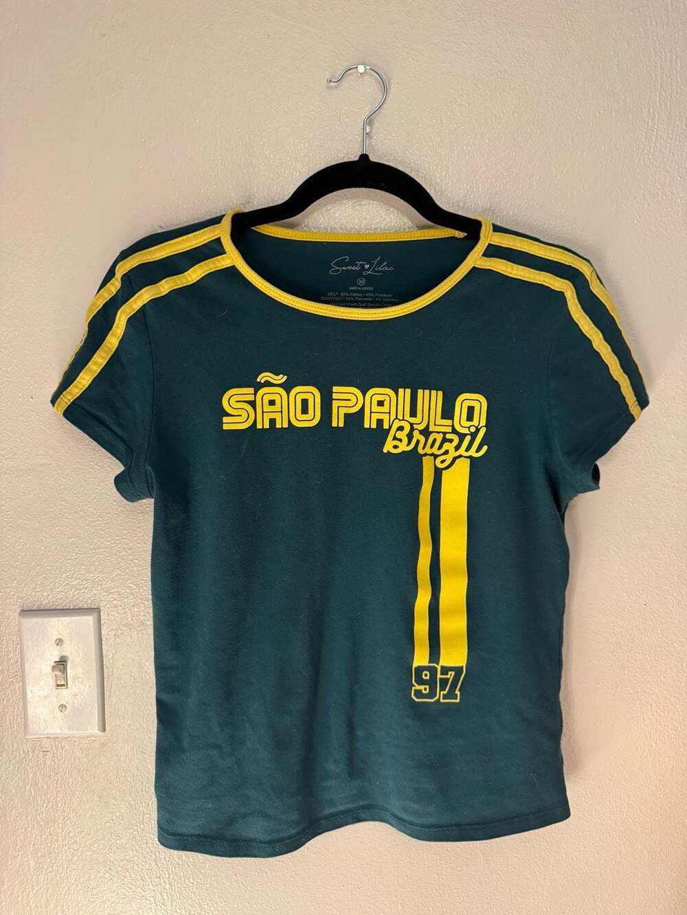 Sweet Lilac Sao Paulo Brazil Ringer Baby Tee